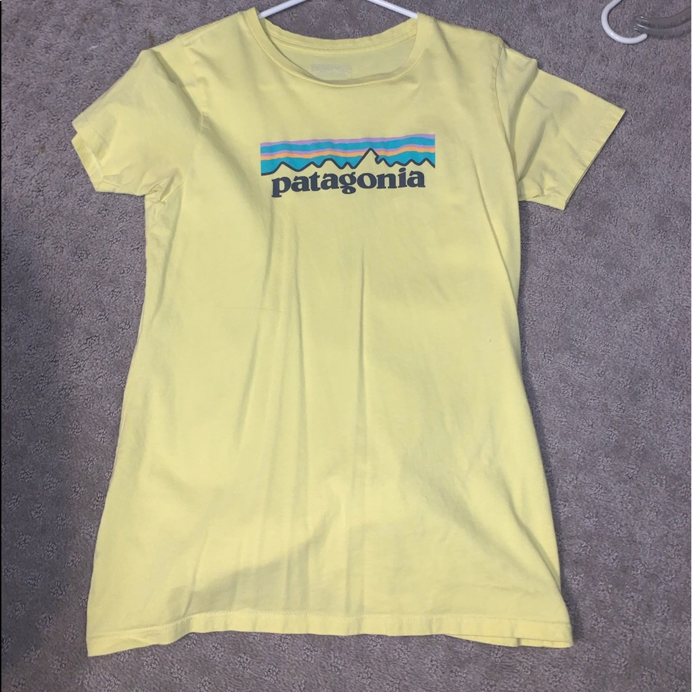 patagonia shirt